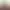 https://shared.akamai.steamstatic.com/store_item_assets/steam/apps/428860/header.jpg?t=1712742551