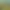 https://shared.akamai.steamstatic.com/store_item_assets/steam/apps/431240/header.jpg?t=1748528368