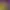 https://shared.akamai.steamstatic.com/store_item_assets/steam/apps/440880/header.jpg?t=1741006380