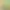 https://shared.akamai.steamstatic.com/store_item_assets/steam/apps/459640/header.jpg?t=1730551419