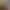 https://shared.akamai.steamstatic.com/store_item_assets/steam/apps/461430/header.jpg?t=1619220828