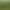 https://shared.akamai.steamstatic.com/store_item_assets/steam/apps/466350/header.jpg?t=1489544982
