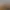Northgard.