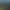 Northgard.