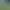 Northgard.