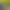 https://shared.akamai.steamstatic.com/store_item_assets/steam/apps/466980/header.jpg?t=1740048926