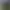 BallisticNG.