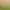 https://shared.akamai.steamstatic.com/store_item_assets/steam/apps/477720/header.jpg?t=1609761091