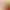 https://shared.akamai.steamstatic.com/store_item_assets/steam/apps/482450/header.jpg?t=1741824648