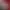 https://shared.akamai.steamstatic.com/store_item_assets/steam/apps/488730/header.jpg?t=1728908991