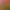 https://shared.akamai.steamstatic.com/store_item_assets/steam/apps/49600/header.jpg?t=1745498136