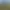 Life is Feudal: Forest Village.
