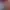 https://shared.akamai.steamstatic.com/store_item_assets/steam/apps/504230/header.jpg?t=1714089525
