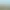Totally Accurate Battle Simulator.