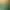 https://shared.akamai.steamstatic.com/store_item_assets/steam/apps/517240/header.jpg?t=1734031879