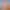 https://shared.akamai.steamstatic.com/store_item_assets/steam/apps/520600/header.jpg?t=1632477900
