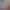 https://shared.akamai.steamstatic.com/store_item_assets/steam/apps/524580/header.jpg?t=1730839090