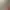 https://shared.akamai.steamstatic.com/store_item_assets/steam/apps/525510/header.jpg?t=1725611565