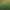 https://shared.akamai.steamstatic.com/store_item_assets/steam/apps/539340/header.jpg?t=1637141482