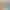 https://shared.akamai.steamstatic.com/store_item_assets/steam/apps/539750/header.jpg?t=1631467632