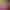 https://shared.akamai.steamstatic.com/store_item_assets/steam/apps/548570/header.jpg?t=1706806221