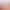 https://shared.akamai.steamstatic.com/store_item_assets/steam/apps/550320/header.jpg?t=1738502268