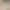 https://shared.akamai.steamstatic.com/store_item_assets/steam/apps/550340/header.jpg?t=1725518107