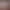 https://shared.akamai.steamstatic.com/store_item_assets/steam/apps/555610/header.jpg?t=1733078577
