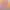 https://shared.akamai.steamstatic.com/store_item_assets/steam/apps/572890/header.jpg?t=1719983069
