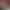 https://shared.akamai.steamstatic.com/store_item_assets/steam/apps/573100/header.jpg?t=1734021141