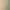 Tropico 4.