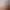 Insurgency: Sandstorm.