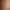 Insurgency: Sandstorm.