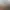 Insurgency: Sandstorm.