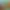 https://shared.akamai.steamstatic.com/store_item_assets/steam/apps/585500/header.jpg?t=1666020089