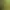 https://shared.akamai.steamstatic.com/store_item_assets/steam/apps/585710/header.jpg?t=1725218805