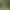 https://shared.akamai.steamstatic.com/store_item_assets/steam/apps/589040/header.jpg?t=1743532611