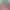 https://shared.akamai.steamstatic.com/store_item_assets/steam/apps/594130/header.jpg?t=1725548063