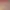 https://shared.akamai.steamstatic.com/store_item_assets/steam/apps/595560/header.jpg?t=1717420679