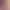 https://shared.akamai.steamstatic.com/store_item_assets/steam/apps/597060/header.jpg?t=1735323467