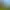 BIOMUTANT.