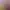 https://shared.akamai.steamstatic.com/store_item_assets/steam/apps/607050/header.jpg?t=1730825639