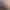 https://shared.akamai.steamstatic.com/store_item_assets/steam/apps/612930/header.jpg?t=1732008369