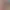 https://shared.akamai.steamstatic.com/store_item_assets/steam/apps/614530/header.jpg?t=1572931331