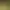 Sentience: The Android's Tale.