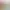 https://shared.akamai.steamstatic.com/store_item_assets/steam/apps/656490/header.jpg?t=1725266023