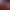 https://shared.akamai.steamstatic.com/store_item_assets/steam/apps/657000/header.jpg?t=1744190622