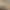 Hand Simulator.