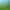 The Warhorn.