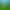 The Warhorn.